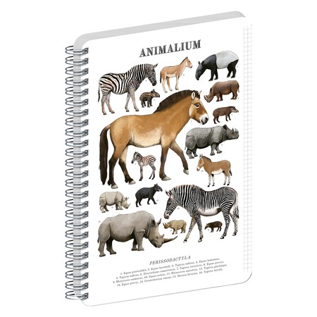 Animalium, spirálos, négyzethálós notesz - Perissodactyls, A5