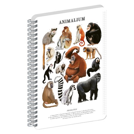 Animalium, spirálos, négyzethálós notesz - Primates, A4