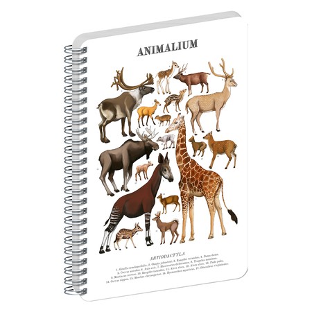 Animalium, spirálos, üres notesz - Artiodactyls, A5