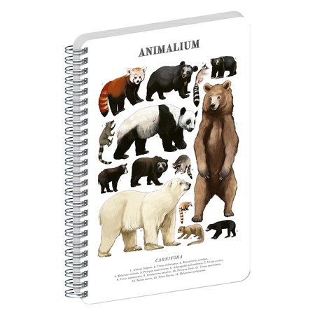 Animalium, spirálos, üres notesz - Bears, A4