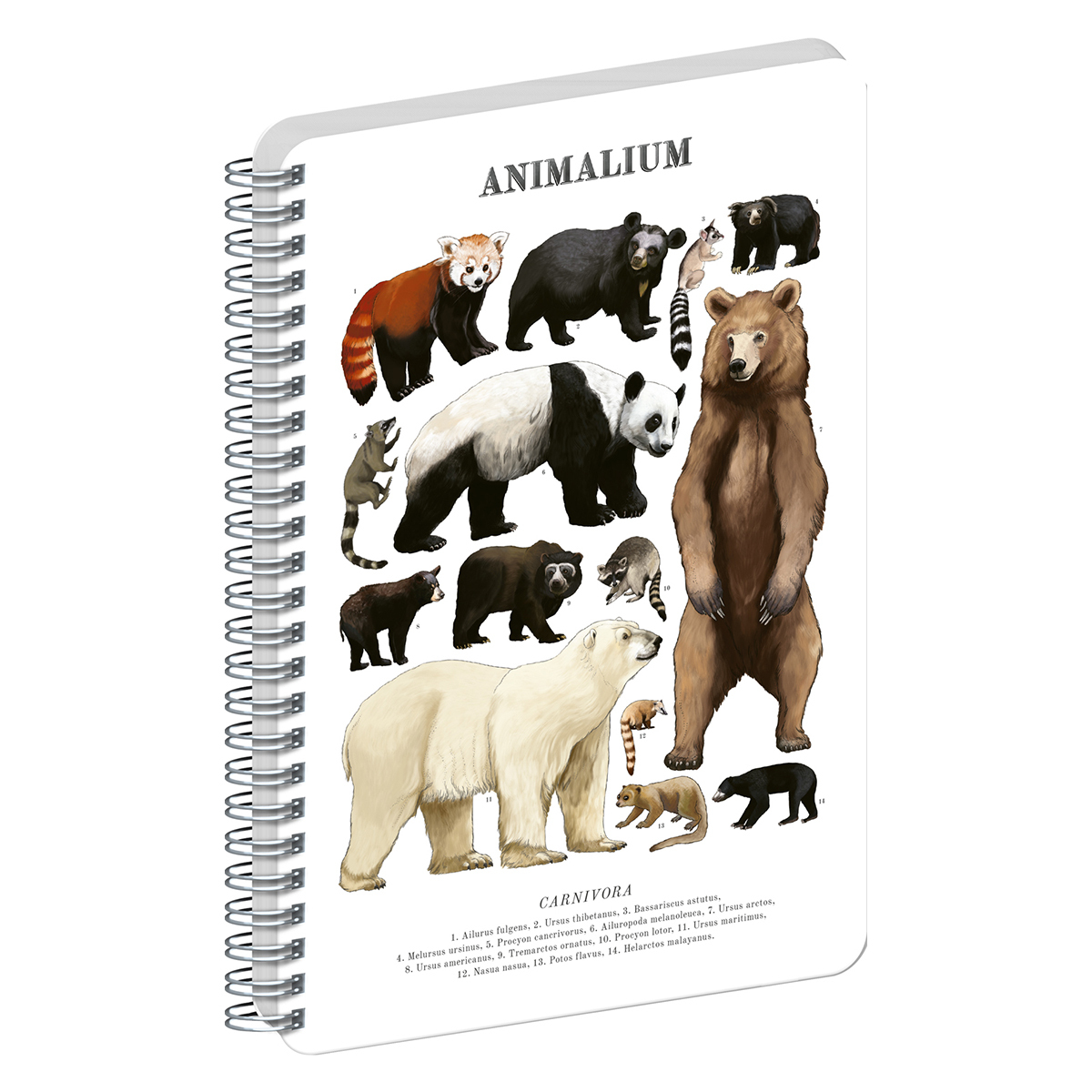 Animalium, spirálos, üres notesz - Bears, A5 Animalium, spirálos, üres notesz - Bears, A5