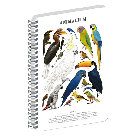 Animalium, spirálos, üres notesz - Birds, A5