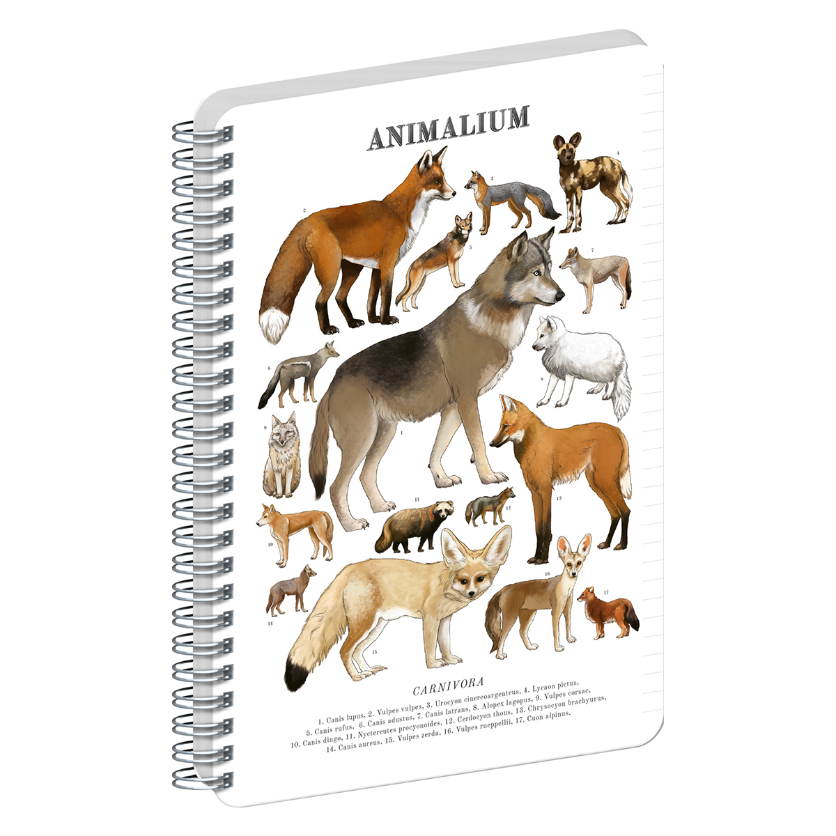 Animalium, spirálos, vonalas notesz - Canines, A4 Animalium, spirálos, vonalas notesz - Canines, A4
