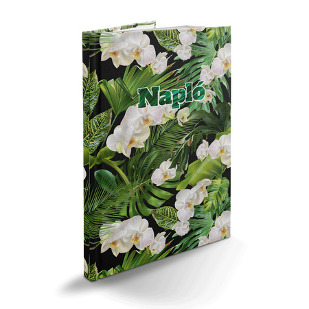 Picture, B5 napló, Tropical
