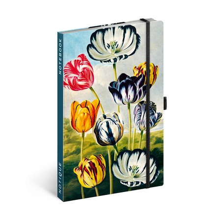 Tulips by Kateřina Winterová, keménytáblás vonalas notesz, 13x21 cm